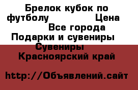 Брелок кубок по футболу Fifa 2018 › Цена ­ 399 - Все города Подарки и сувениры » Сувениры   . Красноярский край